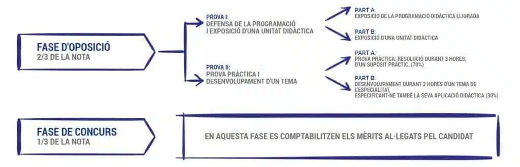 Com és l'oposició: fases de preparacio de l'oposició